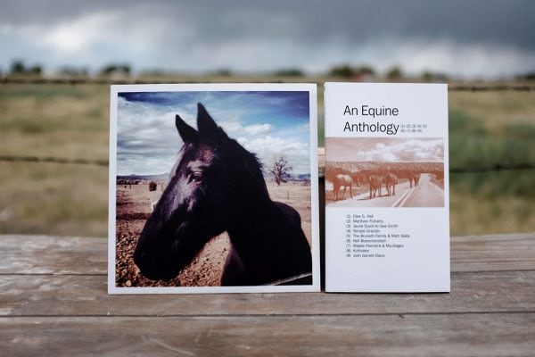 An Equine Anthology record and book