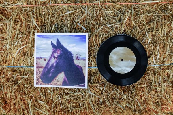 An Equine Anthology record