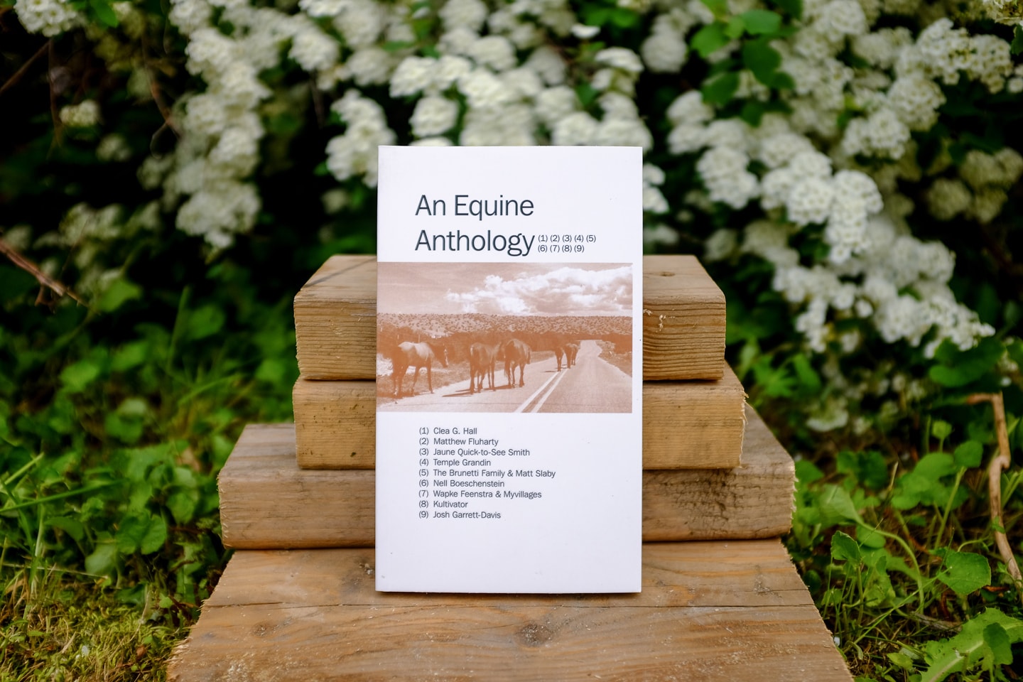 An Equine Anthology book